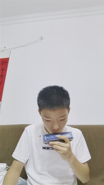 16小毛驴