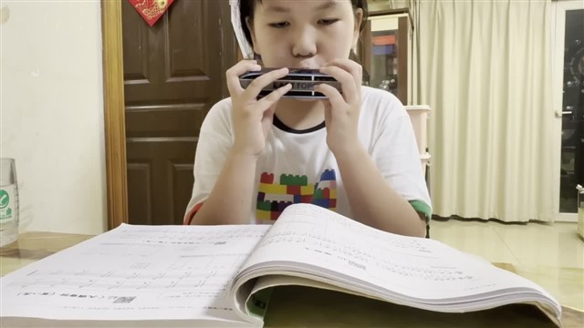 40雁群飞