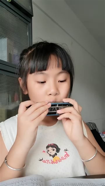 46.雪绒花