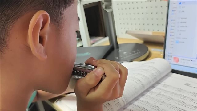 爱尔兰画眉