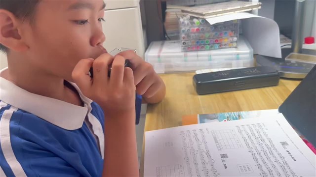 海顿小夜曲
