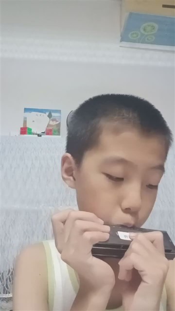 64爱尔兰画眉