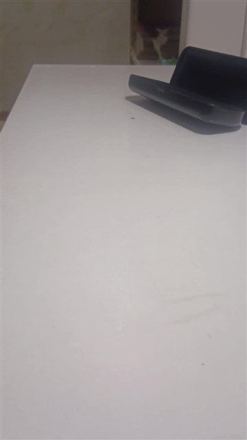 16.小毛驴