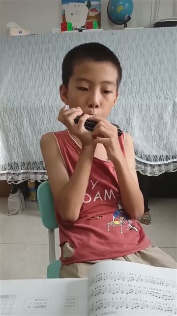 64爱尔兰画眉