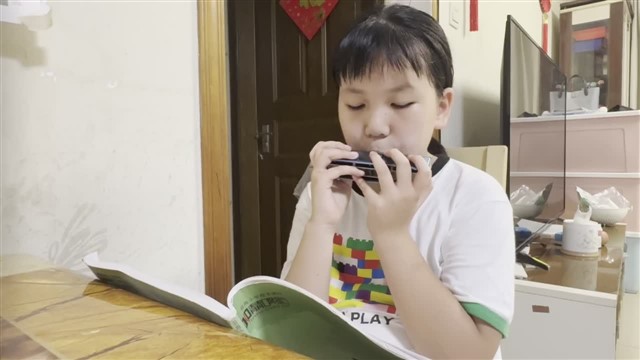 20鲤鱼风筝