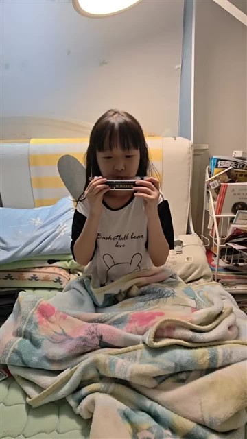 16小毛驴