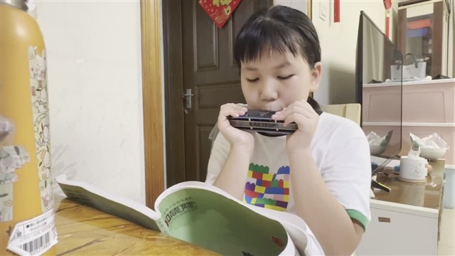 16小毛驴