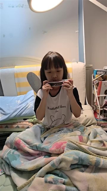 20 鲤鱼风筝