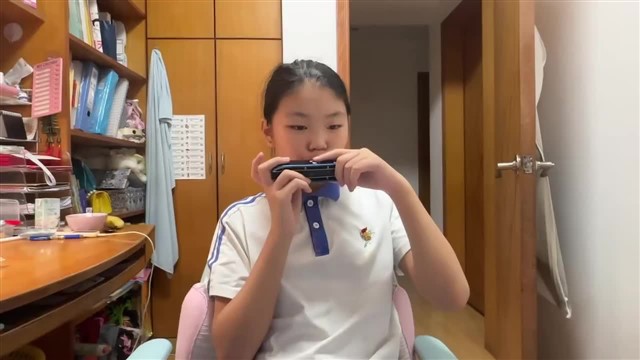16、小毛驴