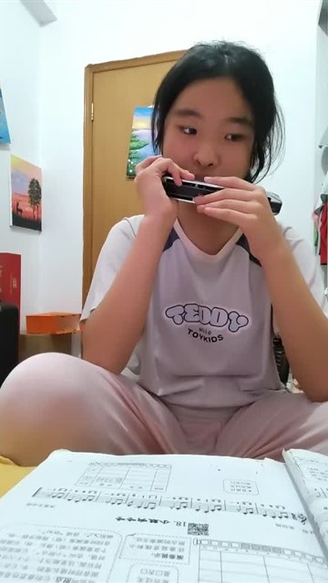 16.小毛驴