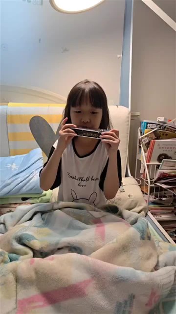 海顿小夜曲