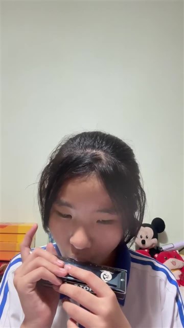 46.雪绒花