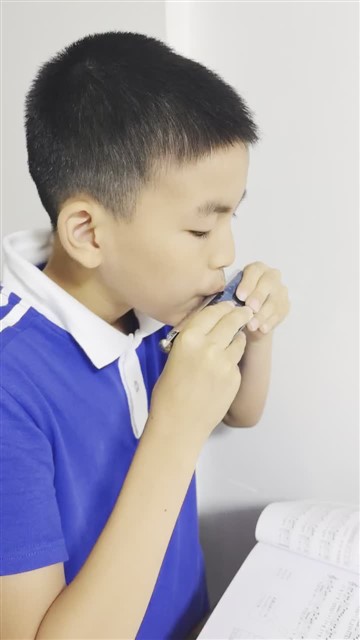 64.爱尔兰画眉