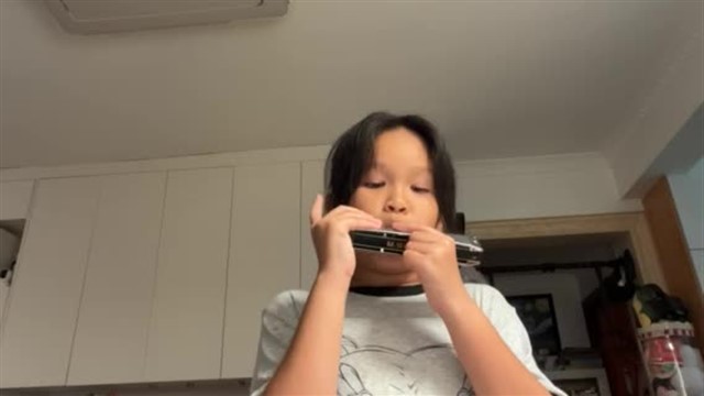 16.小毛驴