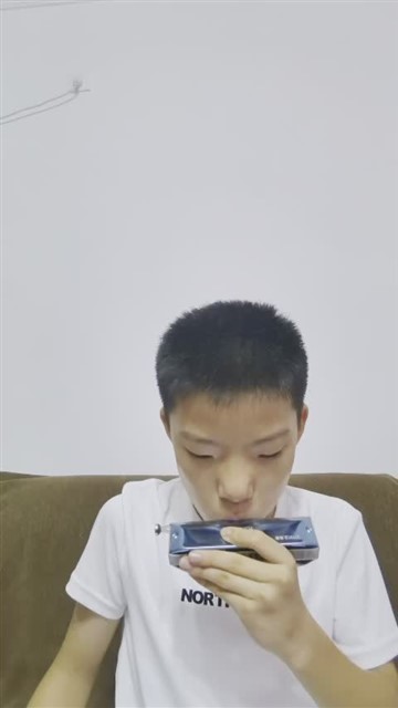 64爱尔兰画眉