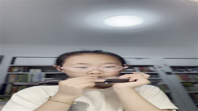 玛丽有只小羊羔