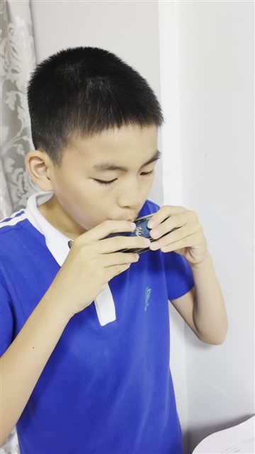 5.玛丽有只小羊羔