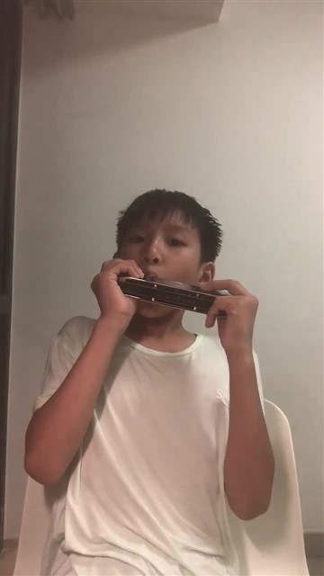 152.天鹅