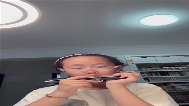 玛丽有只小羊羔