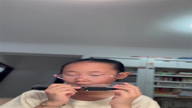 鲤鱼风筝