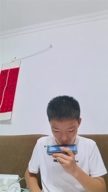 20鲤鱼风筝