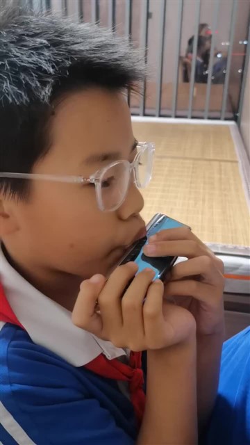 5.玛丽有只小羊羔