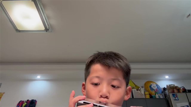 33
