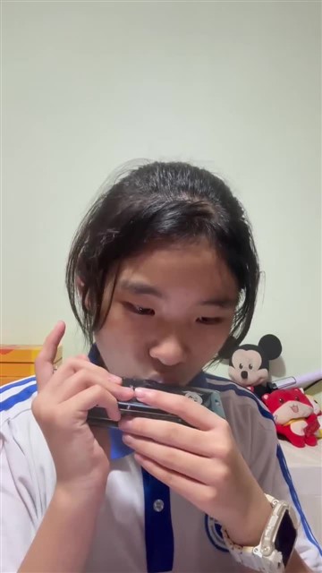 64.爱尔兰画眉
