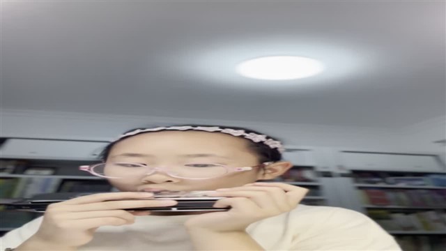 爱尔兰画眉