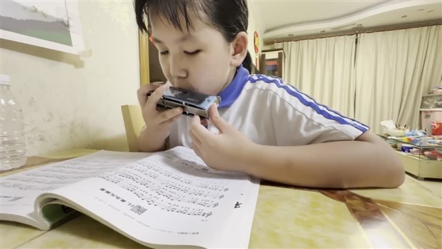 64爱尔兰画眉