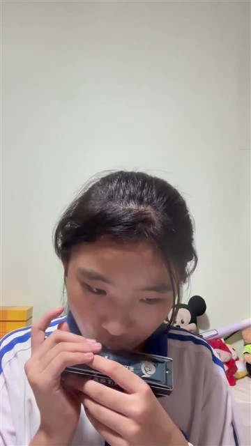 151.海顿小夜曲