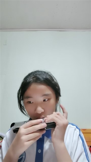 40.雁群飞