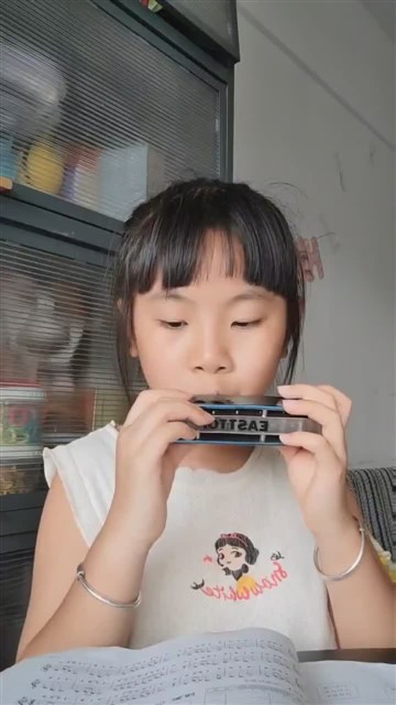 64.爱尔兰画眉