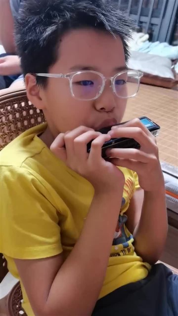 64.爱尔兰画眉
