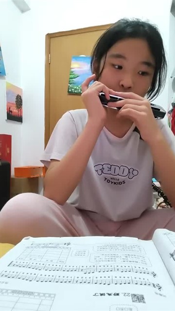 20.鲤鱼风筝