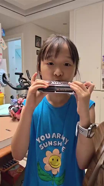 海顿小夜曲
